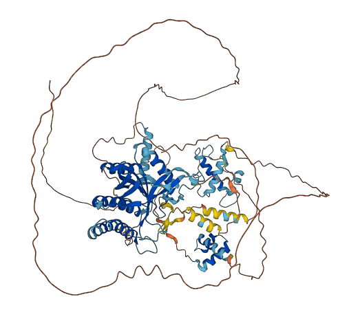 MYSM1 3D structure