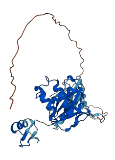 YOD1 3D structure