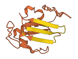 C1orf140 3D structure