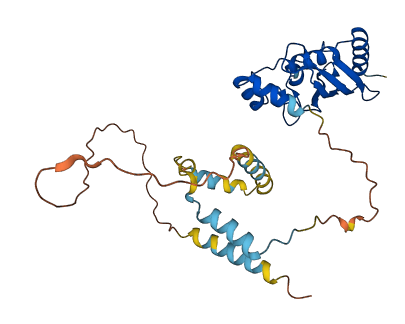 UBE2U 3D structure
