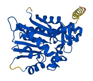 METTL11B 3D structure