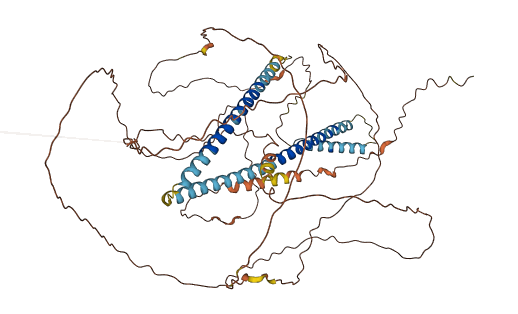 NBPF6 3D structure