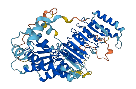 PRAMEF18 3D structure