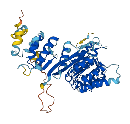 PRAMEF8 3D structure