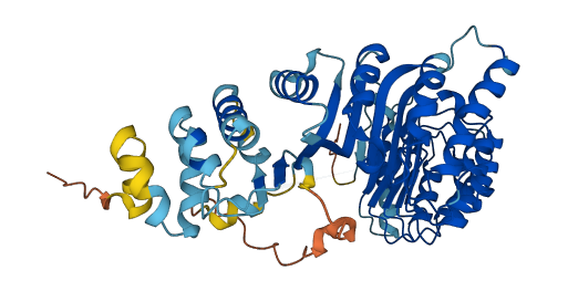 PRAMEF9 3D structure