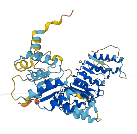PRAMEF13 3D structure