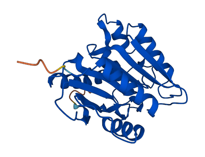 LYPLAL1 3D structure
