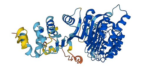 PRAMEF6 3D structure