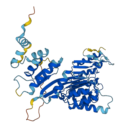 PRAMEF7 3D structure