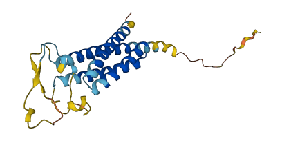 NKAIN2 3D structure