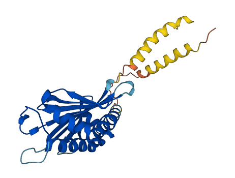 RAET1L 3D structure