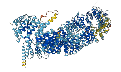 ECPAS 3D structure