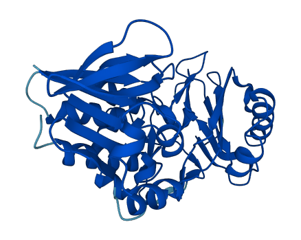 RNLS 3D structure
