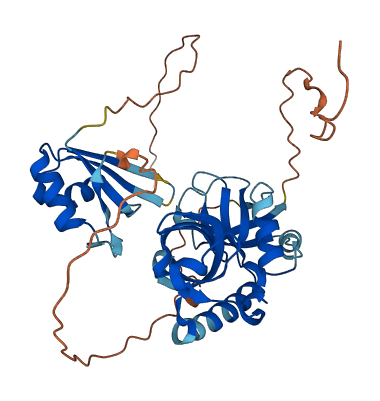 TDRD10 3D structure