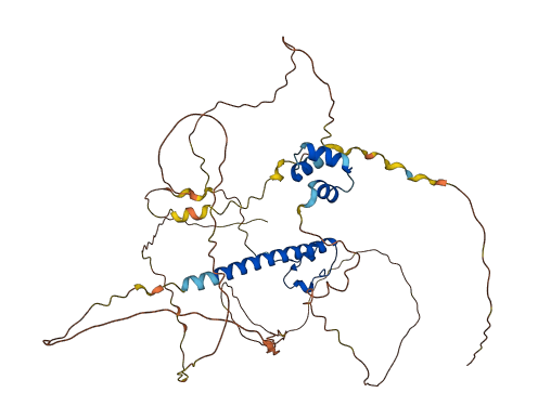 DMRTA1 3D structure