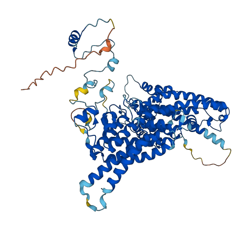 NAA35 3D structure