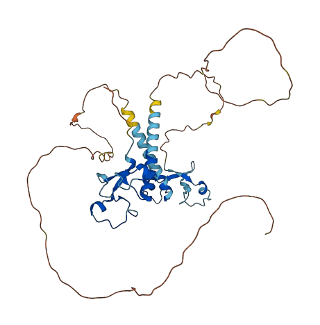 MBNL2 3D structure