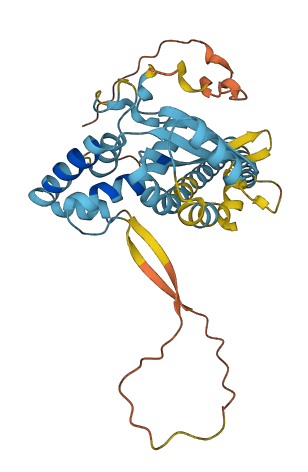 TMEM268 3D structure