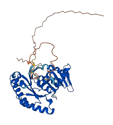 RRAGB 3D structure