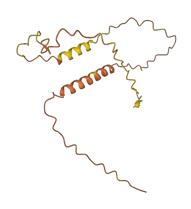 C10orf113 3D structure