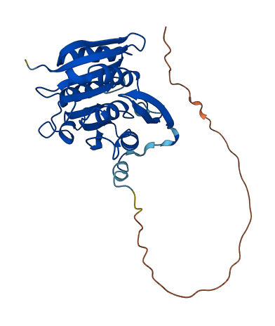 METTL21C 3D structure