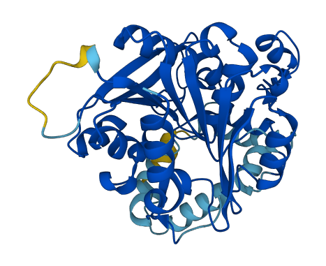LIPJ 3D structure