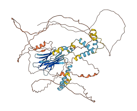 ERICH6B 3D structure