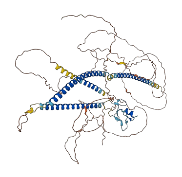 OBI1 3D structure