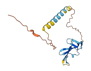 C9orf57 3D structure