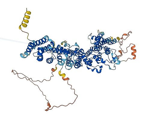 FAM160B1 3D structure