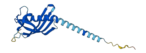 CST9LP1 3D structure