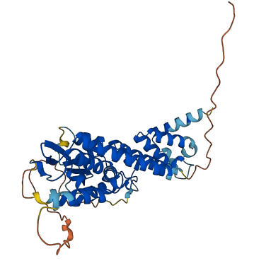 BTBD8 3D structure