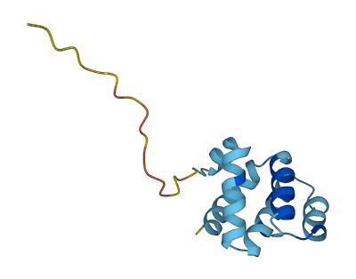 CARD17 3D structure