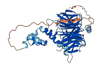 FBXW9 3D structure