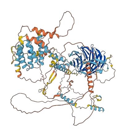 FBXW10 3D structure