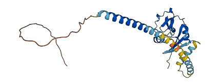 Klra4 3D structure