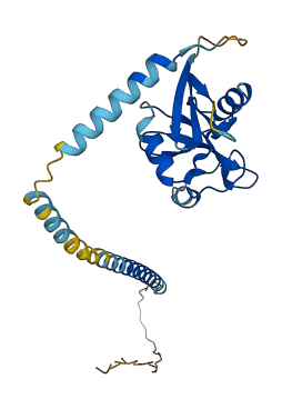 Klra5 3D structure