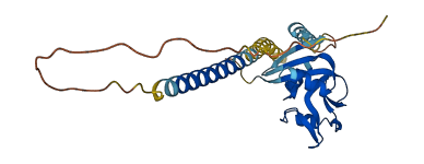 Klra6 3D structure