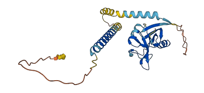 Klra7 3D structure
