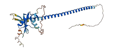 Klra2 3D structure