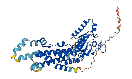 Irgm1 3D structure