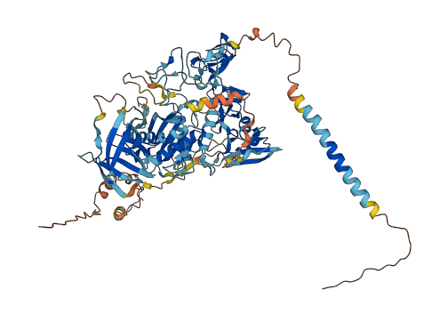 Adam1a 3D structure