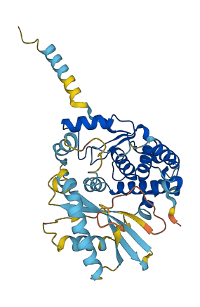 Oas1b 3D structure