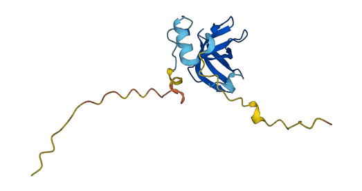 Eif1a 3D structure