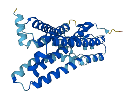 Olfr140 3D structure