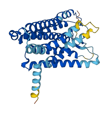 Olfr3 3D structure