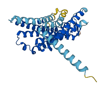 Olfr141 3D structure