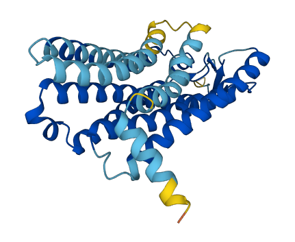 Olfr142 3D structure