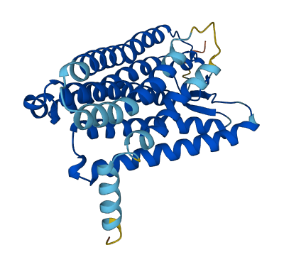 Olfr145 3D structure