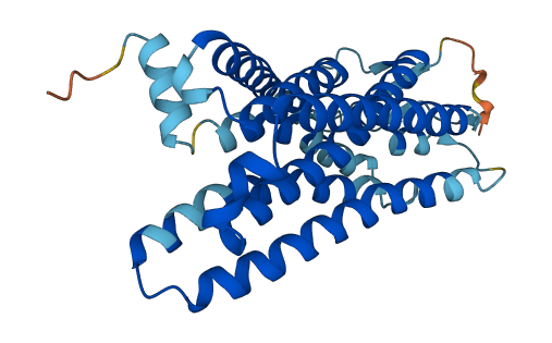 Olfr10 3D structure